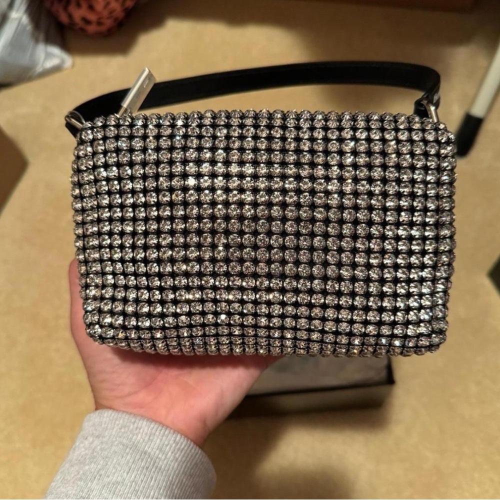Alexander Wang heiress pouch in crystal mesh